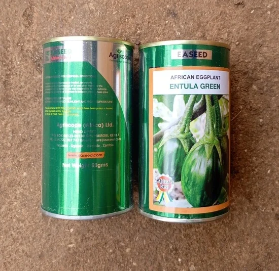 Aubergine "Entula green"_50gr
