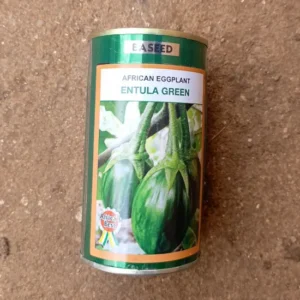 Aubergine "Entula green"_50gr