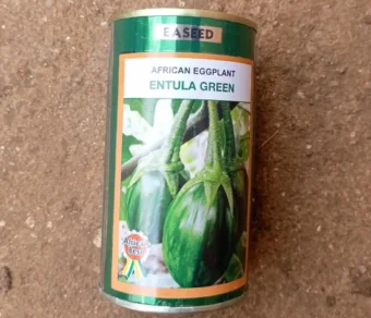 Aubergine "Entula green"_50gr
