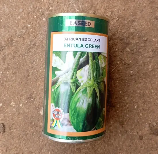 Aubergine "Entula green"_50gr