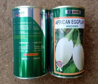 Aubergine "Ngogwe"_50gr