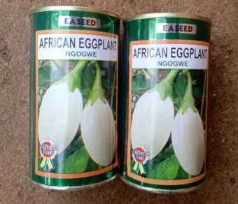 Aubergine "Ngogwe"_50gr