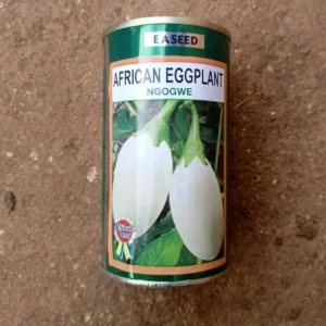 Aubergine "Ngogwe"_50gr
