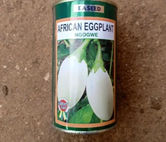 Aubergine "Ngogwe"_50gr