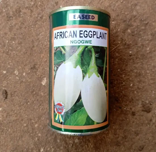 Aubergine "Ngogwe"_50gr
