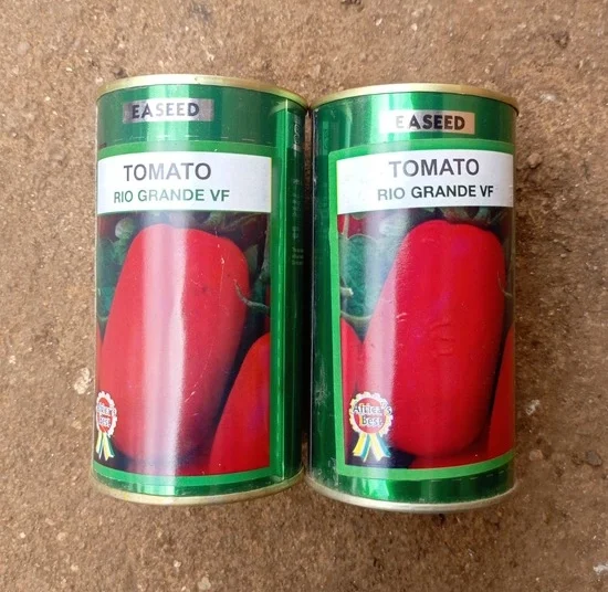 Tomate "Rio Grande VF"_50gr