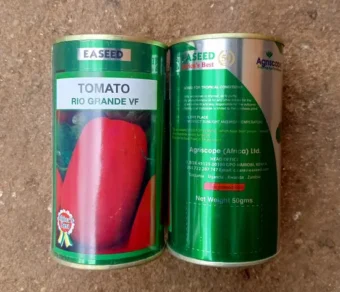 Tomate "Rio Grande VF"_50gr