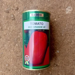 Tomate "Rio Grande VF"_50gr