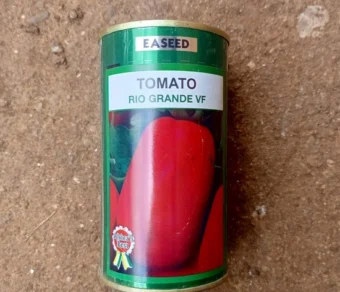 Tomate "Rio Grande VF"_50gr