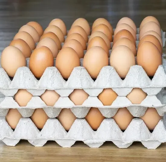 Œufs de table_30 Pces