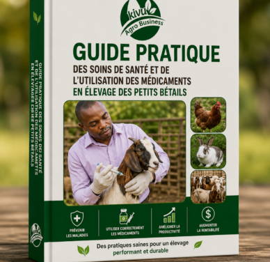 Guide pratique des soins de santé et de l'utilisation des médicaments en élevage des petits bétails