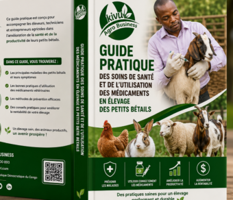Guide pratique des soins de santé et de l'utilisation des médicaments en élevage des petits bétails