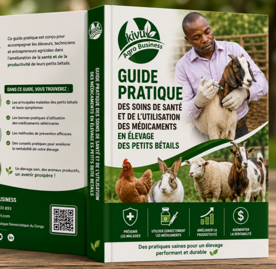 Guide pratique des soins de santé et de l'utilisation des médicaments en élevage des petits bétails